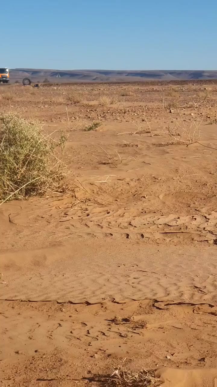 #morocoo #تحياتي #MAN#🚛#خدما #شريفة


**إذا كنت صاحب هذا الإعلان وتريد حذفه لأي سبب، رجاءا أرسل رسالة إلى الدعم الفني**