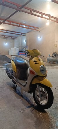 شباب فله لبيع لون مميز كفاله عامه ختم واحد اي نقص مابيهه ودرجه شلعه وم...