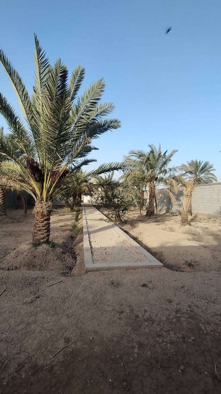 🌴 أرض على النهر للبيع – فرصة نادرة 🌊
📍 أبو الخصيب / محيلة
موقع هادئ وقريب من الخدمات
📐 المساحة: 1075 متر
📄 الطابو: زراعي (يدخل اسمك سهم بالطابو)
✨ مواصفات مميزة:
مسيجة بالكامل
واجهة على النهر مباشرة
على شارع تبليط عرض 10م
جميع الخدمات متوفرة
تحتوي على نخيل متنوع ومثمر
📌 تبعد عن شارع السايدين حوالي 300 متر فقط
💰 السعر: 260 مليون
⚠️ مكان مثالي للسكن، الاستراحة، أو الاستثمار
📞 للتواصل: ***********
