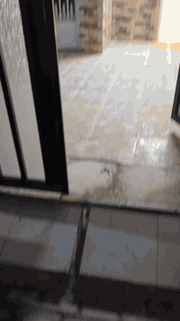 بس ب 45 مليون 
دار للبيع العسكري الاول  مطلوب مبادرة 
130 م
بيت مرتب كلش 
طابق واحد 
تريد تعرف اكثر خابرني او راسلني او زيارة المكتب 
***********
***********
مكتب أملأك للعقار العروبة شارع المتحف
