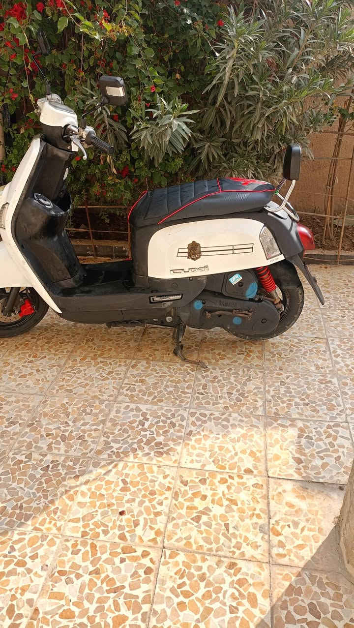 سلام عليكم دراجه للبيع بووليس كفاله عامه 😎 

لا تجي تكلي شبيها مابيها جاي اكول كفاله عامه ؟؟

السعر #بلخاص ماكتب هنا.  #او مراوس بنامه 25 ابلادي 
مو تعمير


**إذا كنت صاحب هذا الإعلان وتريد حذفه لأي سبب، رجاءا أرسل رسالة إلى الدعم الفني**