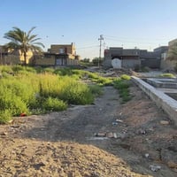 بال ٩٥ • طابو صرف • ١٠٠م