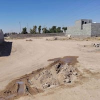 البهراط • ٢٥٠دونم • قرب سامي العراب