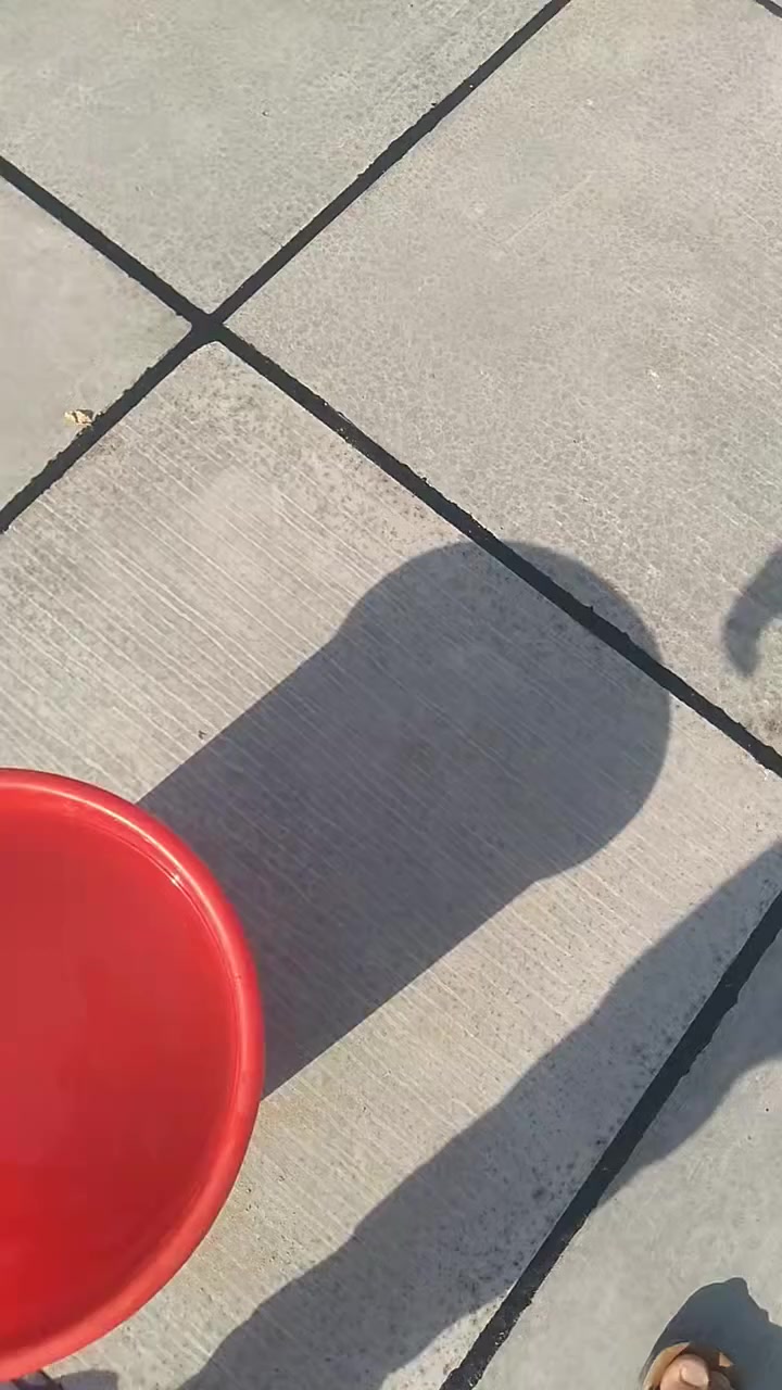 سلام عليكم مستعد لتطبيك السطوح وعادة ماستك شغل درجة أولى الاستفسار ***********ع خاص اوواتساب
