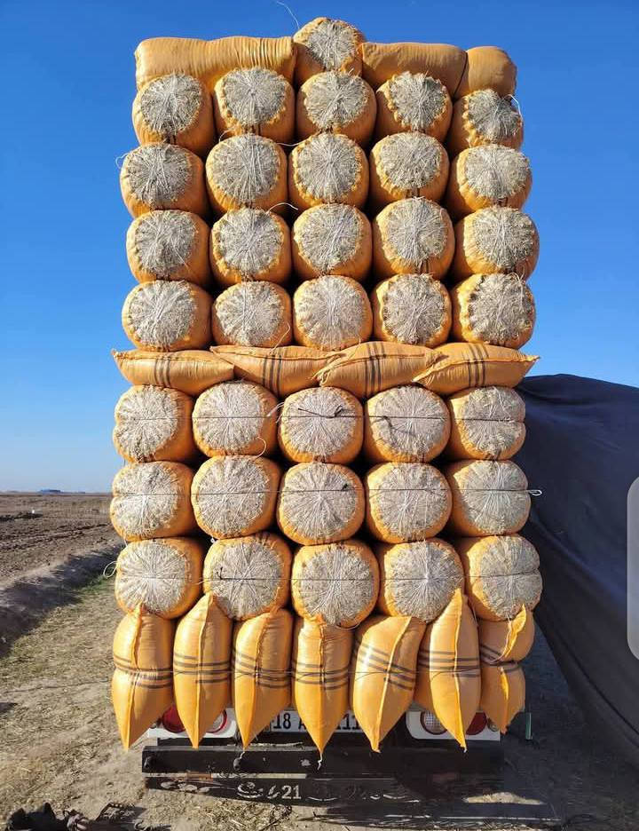 بلاش وينه ليدور تبن للبيع ابيض شحم جميع القياسات توصيل الكل من محافظات نتصل على رقم ***********
