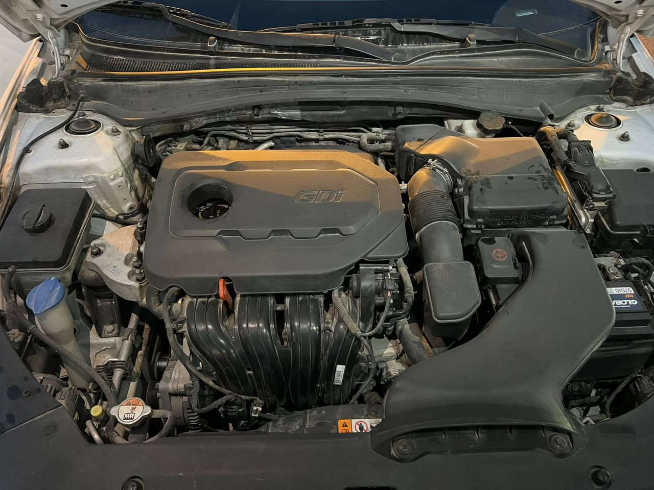 كيا اوبتما موديل 2016 بغداد
باسمي

الموصفات

تشغيل عن بعد

كرسي كهرباء

تحكم ستيرن

كامرا دواره

شاشات عدد(3)

كشنات جلدابيض 

ويل كب (16)

اشاره بالمري 

مري قلاب وشفط

حساسات خلفيه

مكينه وكير مكفولات

تخم تاير

بعد بيها موصفات 

فول ماعدا الفتحه والبصمه

محرك Gdi 2400
صور الحادث موجوده بالصور

ماشية 88 الف

رقم بغداد رقم انكليزي 

السعر 135 وبيها مجال حك الجية 

مكان السيارة بغداد الاسكان

رقمي ***********

غير متوجد ع الفيس
