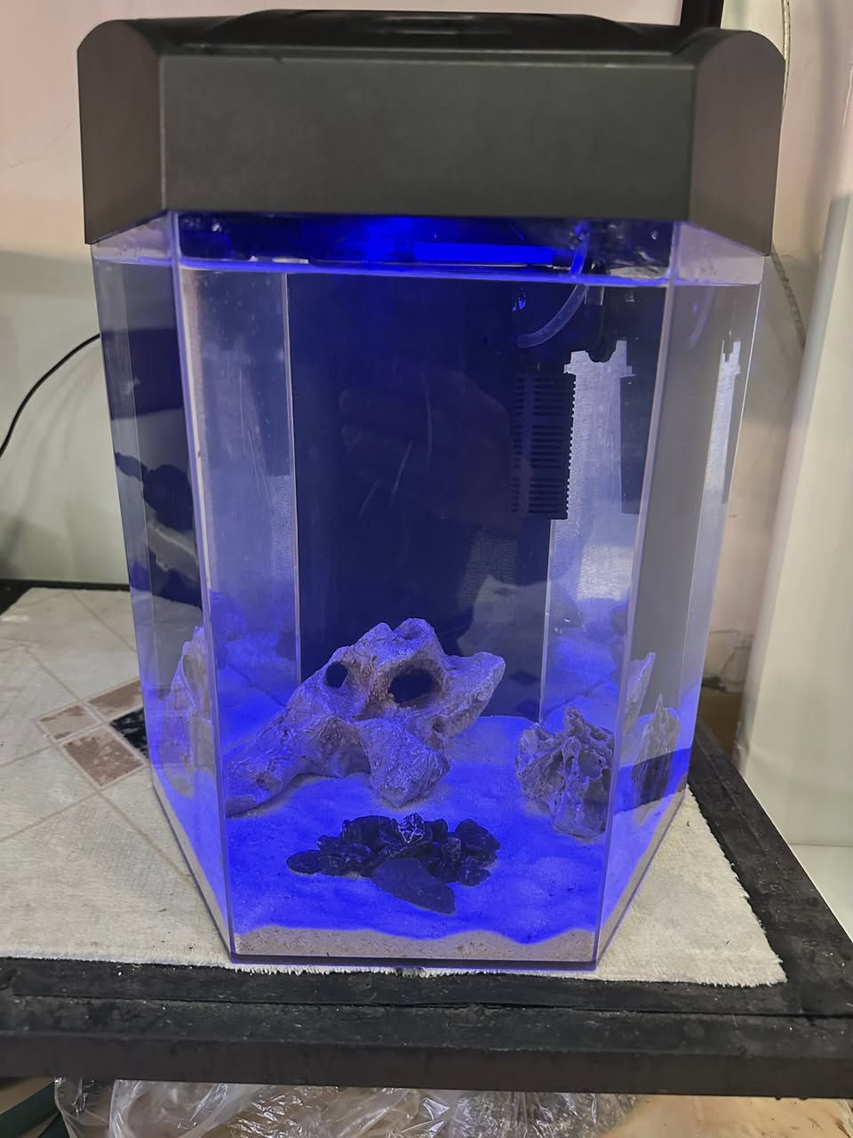 حەوزی شەریكەی ئاركلیك بە شێوەی شەش پاڵوو
فلتەری شەلالی لەگەڵە 
ئۆكسجینیش دابین دەكات
لیدی شەریكەی خۆی لەگەڵە بە شێوەی لەمس  زیاد لە ٧ ڕەنگی تیایە
وە مۆدی گۆڕینی ئۆتۆماتیكی تێدایە ڕەنگەكانی
٢ بەردی كونداری زۆر ڕاقی و تایبەتی لەگەلە
شوێن خواردنی بۆ كراوە بۆ ماسیەكان
بنی لمێكی سپی جوانی لەگەلە
 پشتی باگراوندی ڕەشی لێدراوە
قیاسی بەرزی ٤٠ سم وە تیرە بۆ تیرە ٣٢ سم
تێبینی : حەوزەكە ئەورووپی بەكارهاتووە
_______
ئەوەی ویستی نامە بنێرێت لە واتس ئەپ یا ڤایبەر 
***********
گەیاندنمان تەنھا بۆ ناو سلێمانی ھەیە
