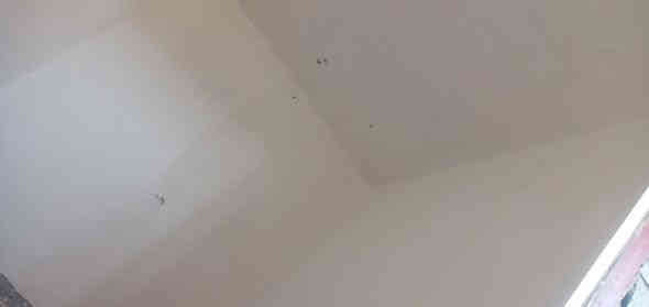 السلام عليكم خلفه بياض اشتقل في البصره وهذه راقمي قطعي وايومي ***********
