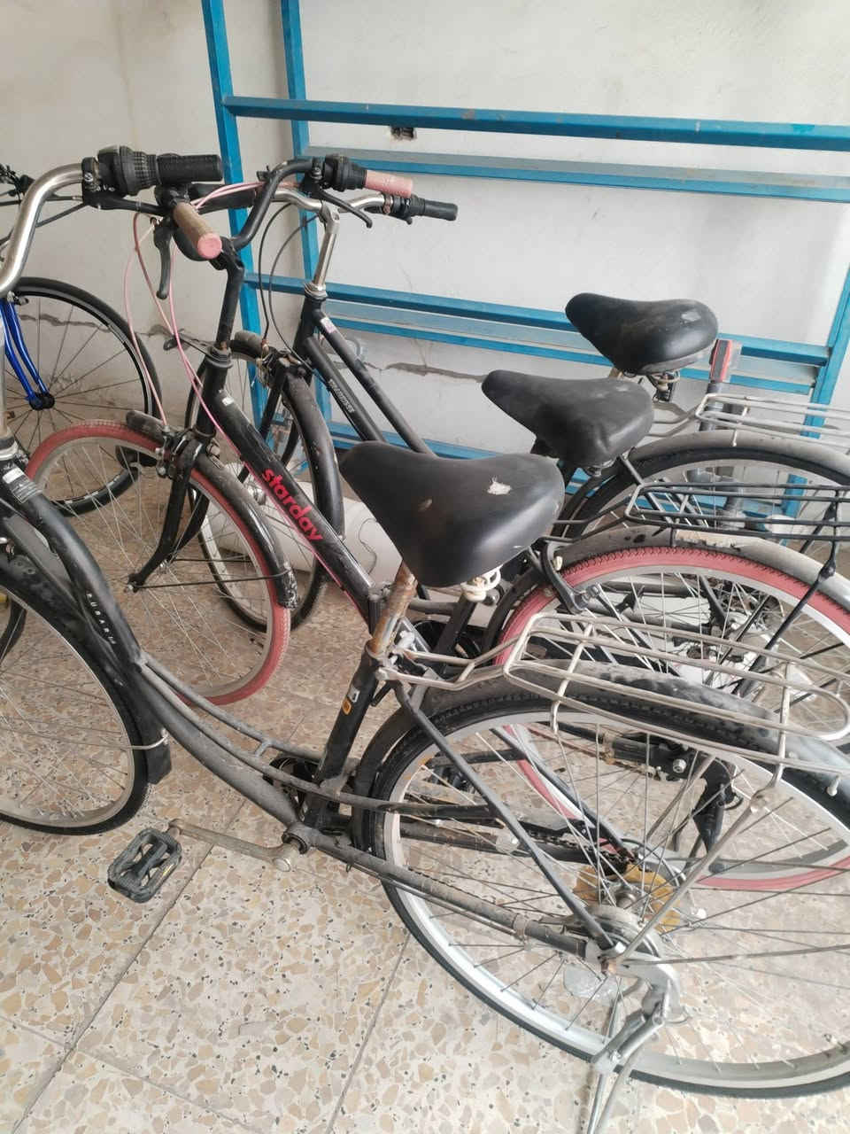 المكان بغداد موجود خده توصيل داخل بغداد كلها باله


**إذا كنت صاحب هذا الإعلان وتريد حذفه لأي سبب، رجاءا أرسل رسالة إلى الدعم الفني**