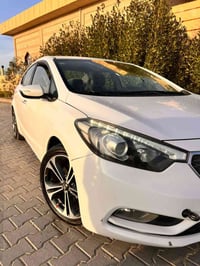 ٢٠١٣ • محرك ١٦٠٠ • كشنات جلد