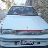 مارك شطح • صبغ عام • مكفولة