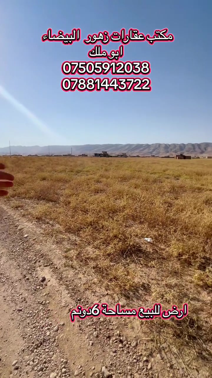 🔥


**إذا كنت صاحب هذا الإعلان وتريد حذفه لأي سبب، رجاءا أرسل رسالة إلى الدعم الفني**