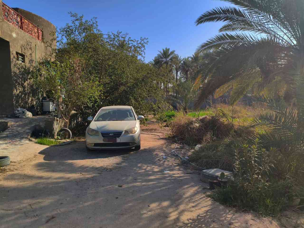 دونم للبيع طابو زراعي عثماني اسود سند 25 وبي بيت مساحة البنيان 250 متكون من ثلاث غرف  وصاله واستقبال ومطبخ وصحيات داخليه وخارجيه العنوان الكوفه قريب على شاليهات ويبعد عن جسر العيسى كيلو ونص 
السعر 250م. وقابل للتفاوض للمراسله ***********
