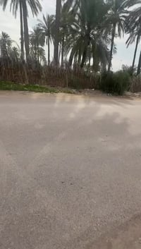 مقابيل الجزيره السياحية • ٢٥٠م • ٥ غرف نوم