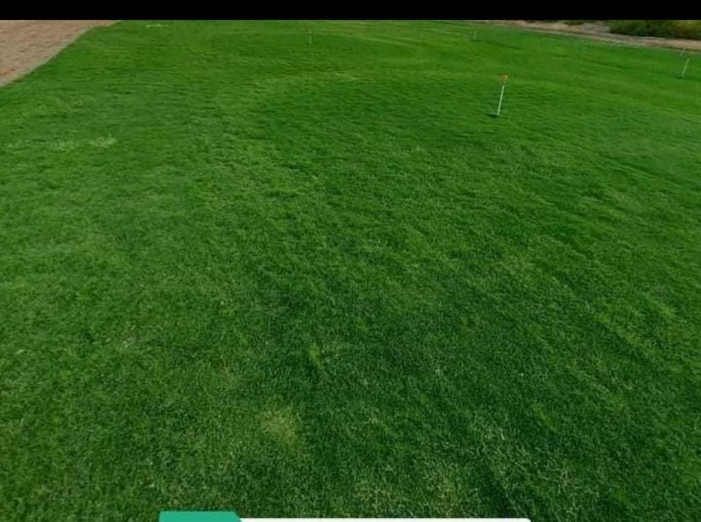 زبائننا الكرام اسعار تنافسيه سارع عله الحجز ابو الكميات سارع عله الحجز
متوفر كافة انواع الثيل الطبيعي 
الثيل الامريكي🌿الثيل الهندي🌿الثيل الايطالي 🌿الثيل الفرنسي
مع كادر مختص يجيك لباب بيتك
بسعر مناسب وكفاءة عالية
نجهز كل انواع الحدائق
والملاعب والمتنزهات 💚
الاسعار تختلف بختلاف النوع
ثيلنة الافضل 
وتوصيلنة الاسرع 🚙🚚
للطلب او الاستفسار التواصل مع الصفحة او الاتصال على الرقم التالي
***********     واتساب
***********
