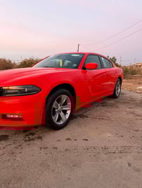 وارد كندي • كفاله عامه • ٢٠١٧