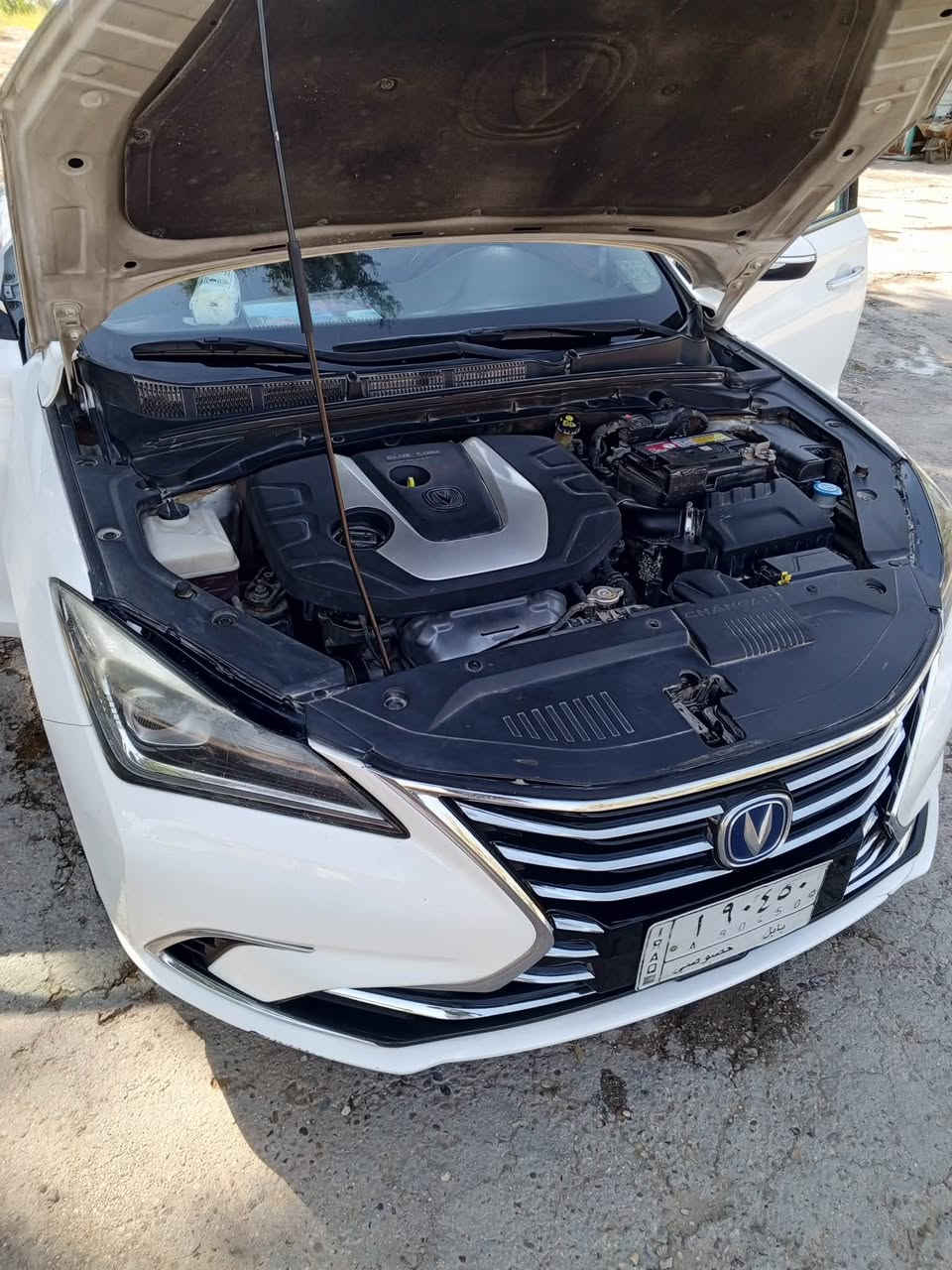 شانجان:ايدو:2020
سياره نطيفه كلش لا تبديل ولا صبغ
سياره جاهزه من كل شي مبيها اي نقص
فقط شموع اماميه فقط
عليها ادامه كامله وتخم تاير جديد وصدر جديد
فول موصفات1/1 من فتحه وحساسات ومري شفط وكامره خلفيه ورادار وهواي بعد بيها موصفات
داخل جلد احمر 
محرك 1600
تحكمات بكلشي /شاشه جبيره تحكم بكامل السياره
رقمها بابل/وسونارها موجود ويه الصور الناشرها
سعرها: شده وخمس اواق يعني105$
مكان السياره بابل المركز
$105
للتواصل :***********
واتساب موجود
