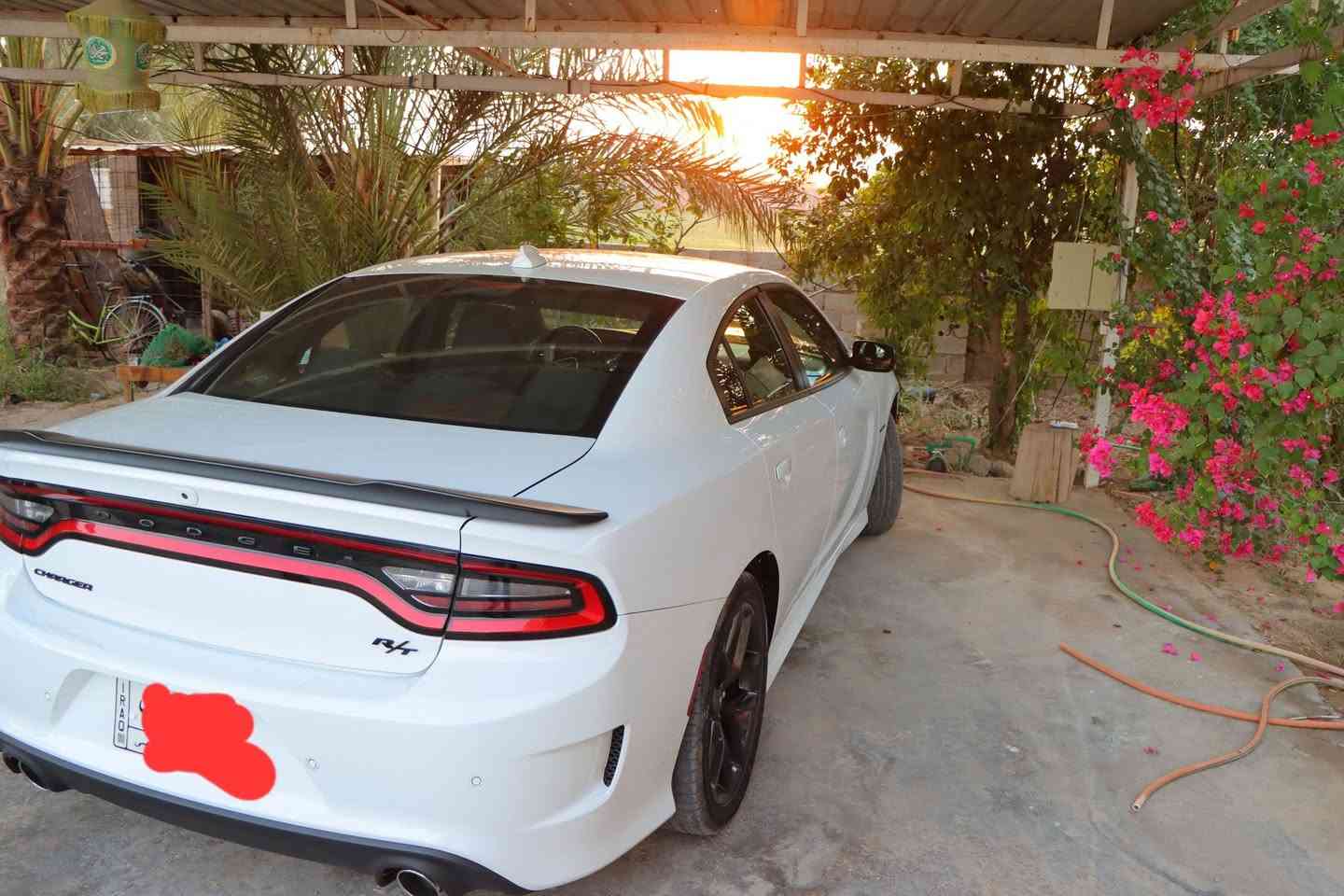 جارجر RT 2022  سيارة جديدة محرك  5700  رقم بغداد باسمي
ماشية 19 الف( كيلو)  /كشنات حضن
شاشة جبيرة كشن كهرباء
تشغيل عن بعد
شفتات ستيرن ويل 20 اصلي
باقي المواصفات معروفه 
سعر 260 $ 
مكان سيارة/ بغداد/المنصور/ .... السياره وارد كندي وحادثه امامي تبديل بنيد
***********
