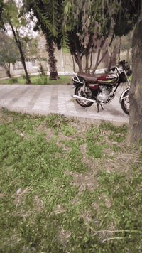 سافین 150
منفیست اصلي 
ما يحتاج ولا ربع 
***********
السعر 550 الف و بي مجال
