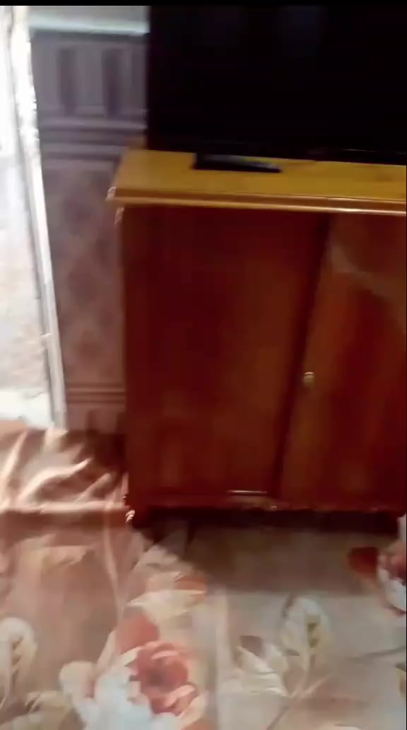 غرفه صاج جديده سعره مليون و700شراي يراسل خاص عنوانه ابوصخيرالمعسكر ورقم ***********
