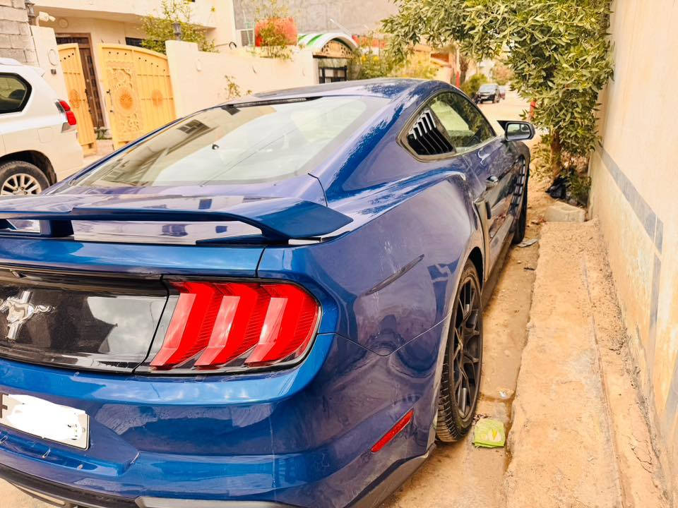 للبيع او مراوس حسب  القناعة موستنك 2018 ايكو بوست محدد اماكن الصبغ رقم اربيل باسمي تريد وكالة تريد تحويل ماشية ١٥٠ كيلو (محرك كير اكسل شواصي لغود دواخل كفالة) ايرباك دركة ودشبول راجع سستم طقم تاير جديد امريكي اصلي السعر ١٢٨ ومجال بسيط اي استفسار ***********
