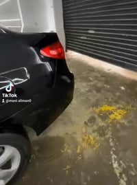 النترا • ٢٠٠٨ • جير عادي