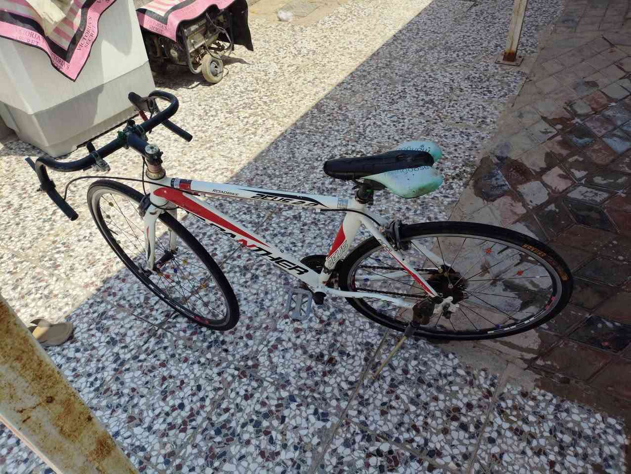باسكل رود مال سباق للبيع عوزله شويه ترتيبات ويصير كامل مكمل الگير الامامي 3 والخلفي 7 ثنينهن عوزلهن سيم
 /***********
