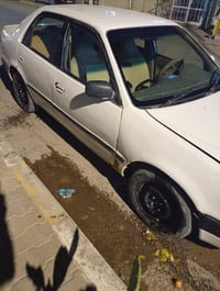 كورله • ٩٥ • نجف