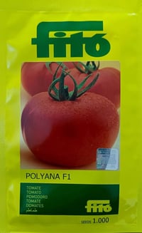 طماطة بوليانا • الغد الأخضر • ابو غريب الزيدان