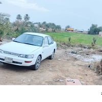 السعر 50بيهه مجال 07830445035