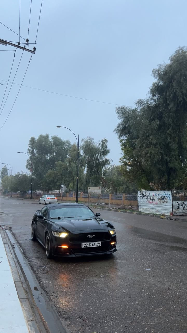 Mustang eco boost
موستنك 2015 بريميوم ايكو بوست
مكينه ما مفتوح لوك شركه عليها 
ضرر٣ قطع امامي ضربه خفيفه
شاشه جبيرة
 كشنات تدفئه تبريد
دشبول سبع الوان
سعر:122$🔥
***********
