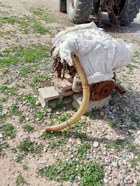 محرك كيا حجم (3000)السعرمليون گير كيا نضيف وشغال شرط السعر500 للاستفسا...
