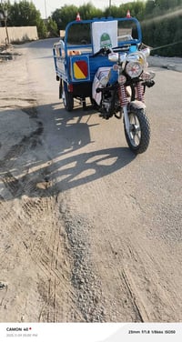 ستوته 21 • مكفوله • الديوانيه