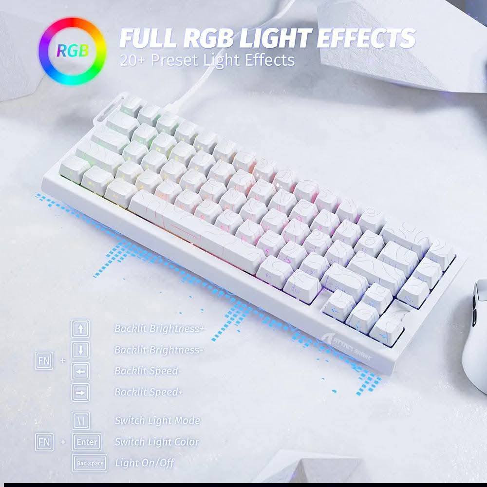 اعلى سعر ابيع تواصل ع الوتس اب***********
