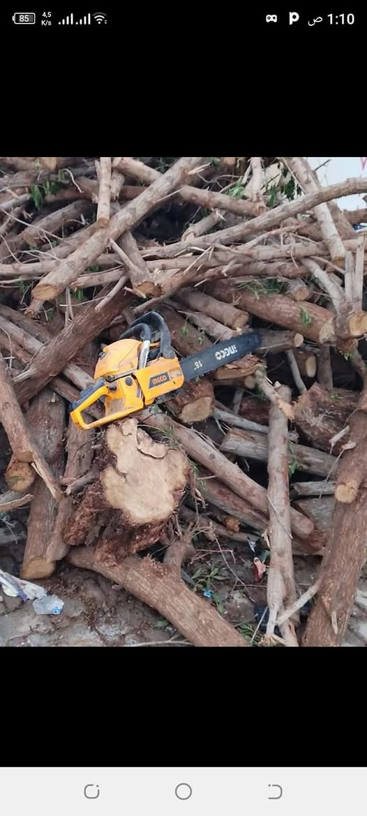 قص وتقطيع انواع اشجار مكان العمارة ،رقم الهاتف ***********
