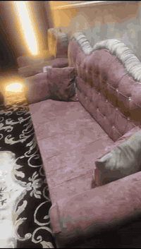 تخم نظيف كولش مع طبلات اربعه جام  السعر 250 العنوان كربلاء الجاير الرقم ‭0776 019 7000‬
