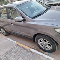 سنتافي • ٢٠١٢ • وارد امريكي