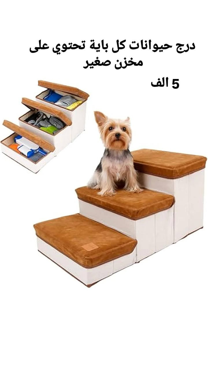 سلام عليكم
اسعار مناسبة


**إذا كنت صاحب هذا الإعلان وتريد حذفه لأي سبب، رجاءا أرسل رسالة إلى الدعم الفني**