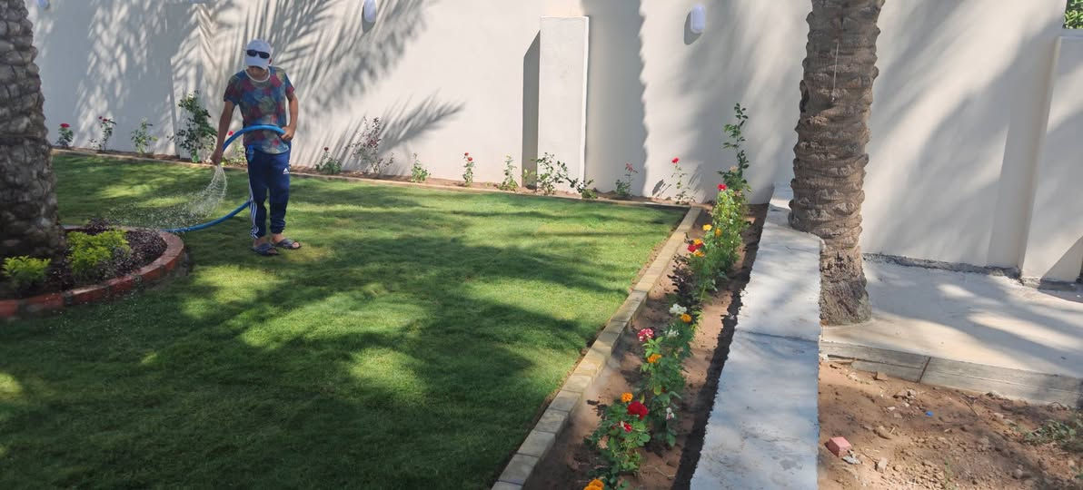 تصميم بسيط ولمسات أجمل.  حديقه ١٥٠ متر. ثيل سباني. ورود دائمة تزهير  صيف شته دقة بتعديل وتسويه    كادر مشتل محمد. يتهنه بيه كاك محمود أبو كاني ***********
