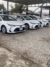 كورلا خليجي • ٢٠٢٥ • كربلاء المقدسة