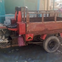 ستوته ٢٠٠٩ • اسود • اندله