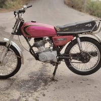 بدون وراق • الميمونة • دراجة