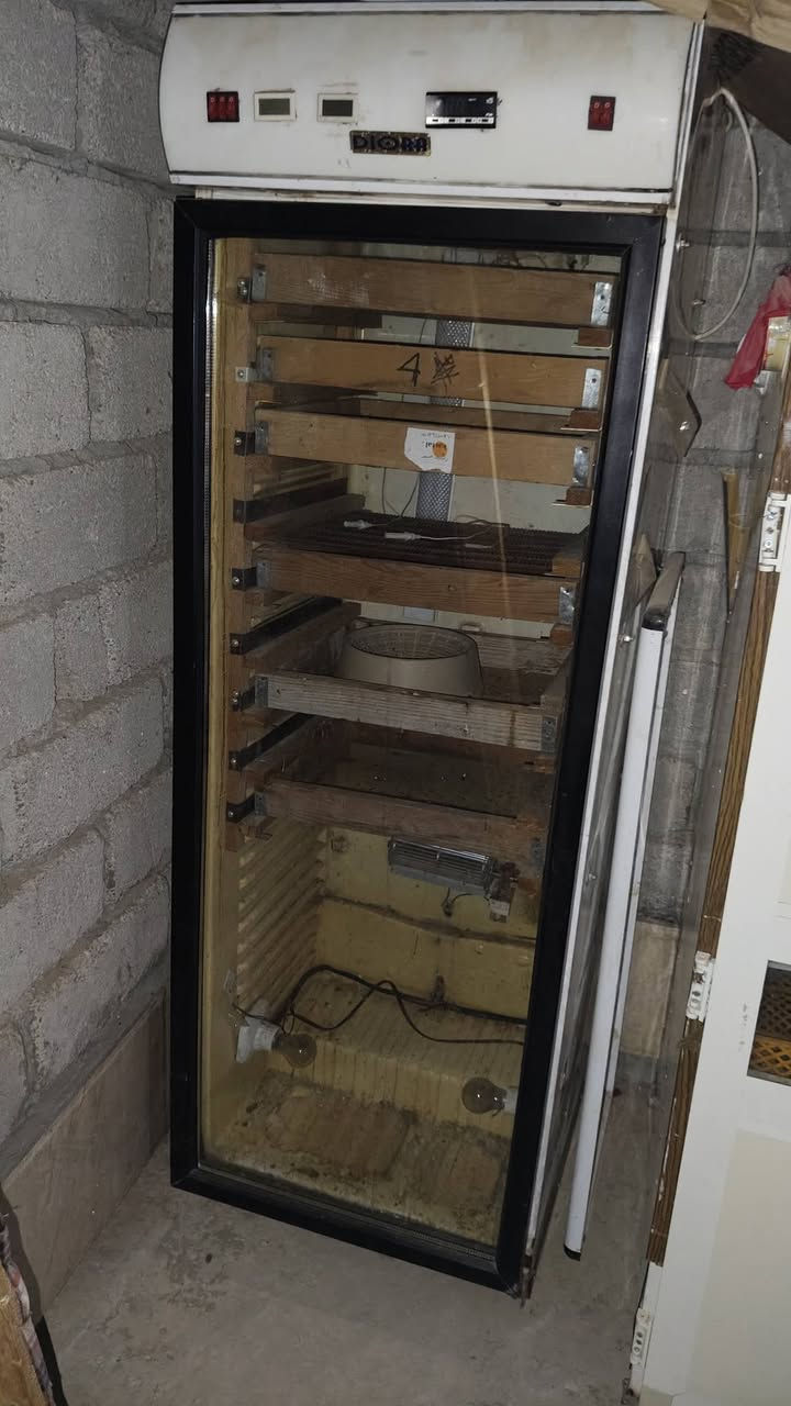 مفقس عدد 2 مجرب 💯 💯 
الكبيرة سعة 1200 بيضة
الصغيرة سعة 750 بيضة 
الاتصال على الرقم 
***********
