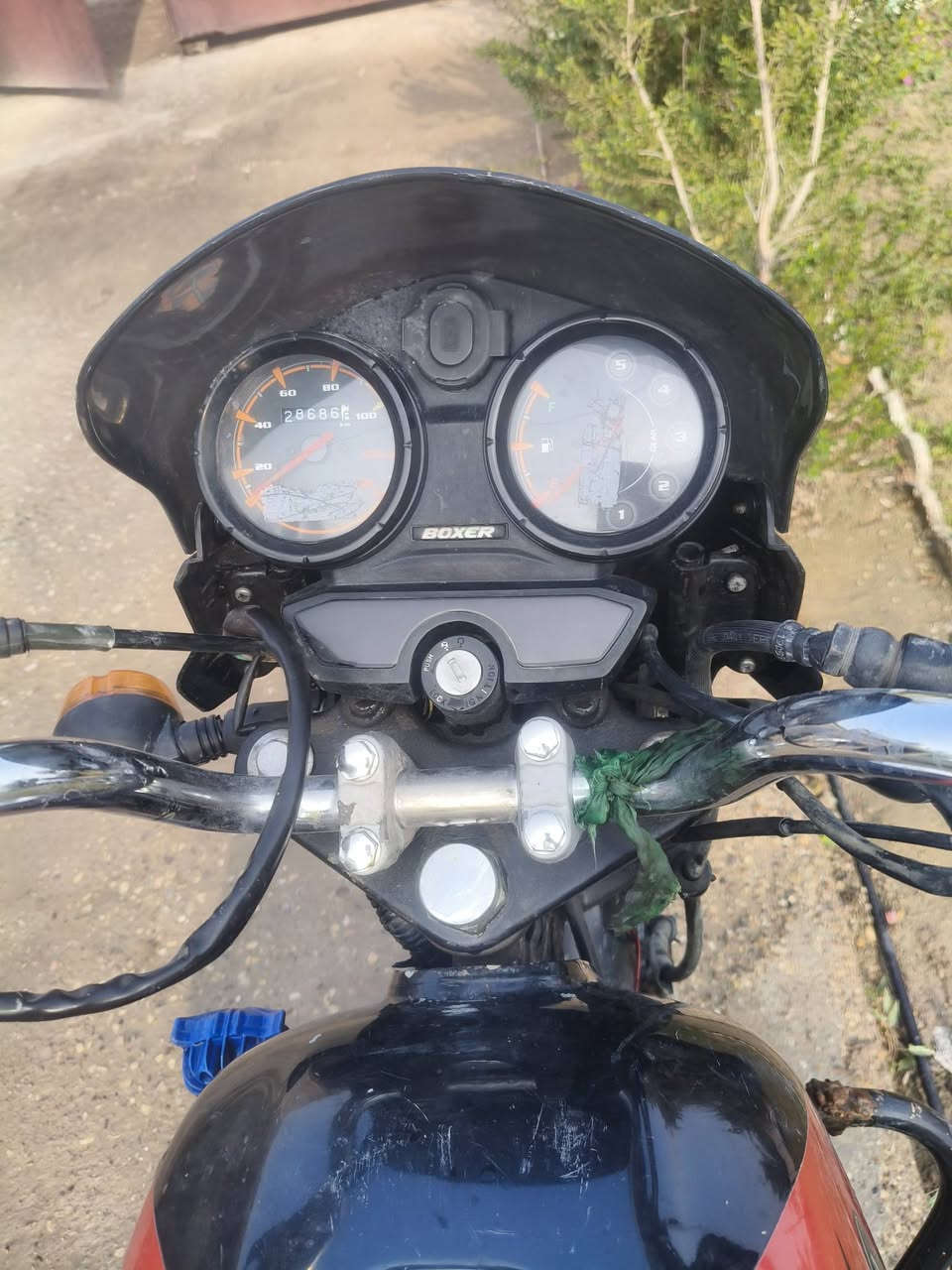 ﷽  وينه ليدور كفاله عامه 
بوكسر جبلي  نضيفه كلش مستعجل عله بيعتهه 2020 كلشي شغال بيهه 

مكاني واسط الزنابره رقمي ***********  مامتواجد ع الخاص،،  نضيفه كلش  انضف من   الفيديو؟  اوراق استنساخ اتعهد من السرقه او الغرامه ومن كلشي؟ ستوني طلعته من المخزن صارله سنه مضمومه
