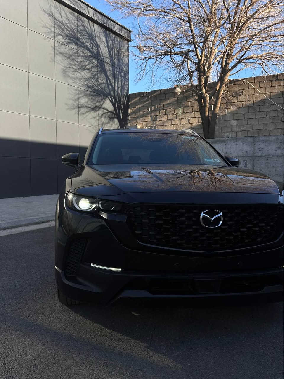 مازدا CX-50 2025
فول مواسەفات
پانۆراما
کوشن هیتەر
سوکان هیتەر
مکەبەرە بۆس
کوشن خەزن
ڕاداری پێش و دوا
چاریجین مۆبایل
سنوق کارەبایی
سیستەمی کارپلەی وایەرلێس
بەس بۆنیت بێ ناوگرتن
ئێرباگی سوکان سیستەمە
ماڵی دۆستە السليمانية, العراق


**إذا كنت صاحب هذا الإعلان وتريد حذفه لأي سبب، رجاءا أرسل رسالة إلى الدعم الفني**