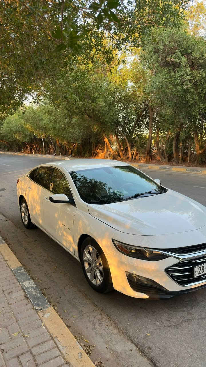 🚘 للبيع | شيفروليه ماليبو LT موديل 2020 - وارد أمريكي
▫️ اللون: أبيض
▫️ الفئة: LT
▫️ المحرك: 1.5 Turbo
▫️ الممشى: 108,000 كم

المواصفات: ✅ تشغيل عن بُعد (Remote Start)
✅ Apple CarPlay
✅ اقتصادية بالوقود وقيادة مريحة

ملاحظة بكل شفافية:

الجاملغ عكس السايق مبدل.

بابين السائق مصلحات

حدادية ٨٠٪

السيارة بحالة ميكانيكية جيدة ، التبريد ثالج ،والفحص خير دليل، صور الحادث مرفقات، ولا يوجد أي مانع من الفحص في أي ورشة يختارها المشتري.

💰 السعر: 10,000 دولار قابل للتفاوض بالمعقول

📍مكان السيارة : النجف
📞 الاستفسار يرجى التواصل ***********

