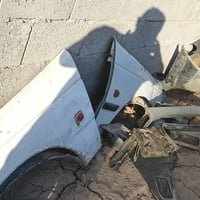 ضفيره كاملة • صالنصه