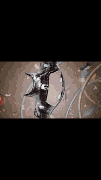 غراض بيجي كلها بلاد وشرط الملاح والنظافه 
بعد ترايش ما مصورهن سعرهن 10 قفل 
لحيه وين الأشاير 10 قفل 
عداد ودشبول 15 قفل 
سمجات7قفل 
كفر كدام 5 قفل 
بك لايت كامل زلغ ما بي 10 قفل 
‏‪***********‬‏ واتس اب او مباشر
