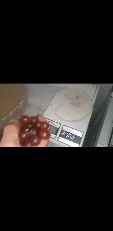 الفارق بين الكهرمان الاصلي الحر والكهرمان المسال اي الكبس لقطع النقد بمتطفلين بنقد قصد الاذيه بئرزاق الناس ارفقنا فيديو توضيحي للفرق بين انواع الكهرمان ويلي عنده مناخد منه شرط الفحص الخامه تواجد دمشق مع إمكانية الشحن او الاستلام باليد بعد الفحص التحويل المالي بنفس يوم الشحن الرجاء التعامل ع هذا الأساس مجموعة سبح بولوني وبلطيفي


**إذا كنت صاحب هذا الإعلان وتريد حذفه لأي سبب، رجاءا أرسل رسالة إلى الدعم الفني**