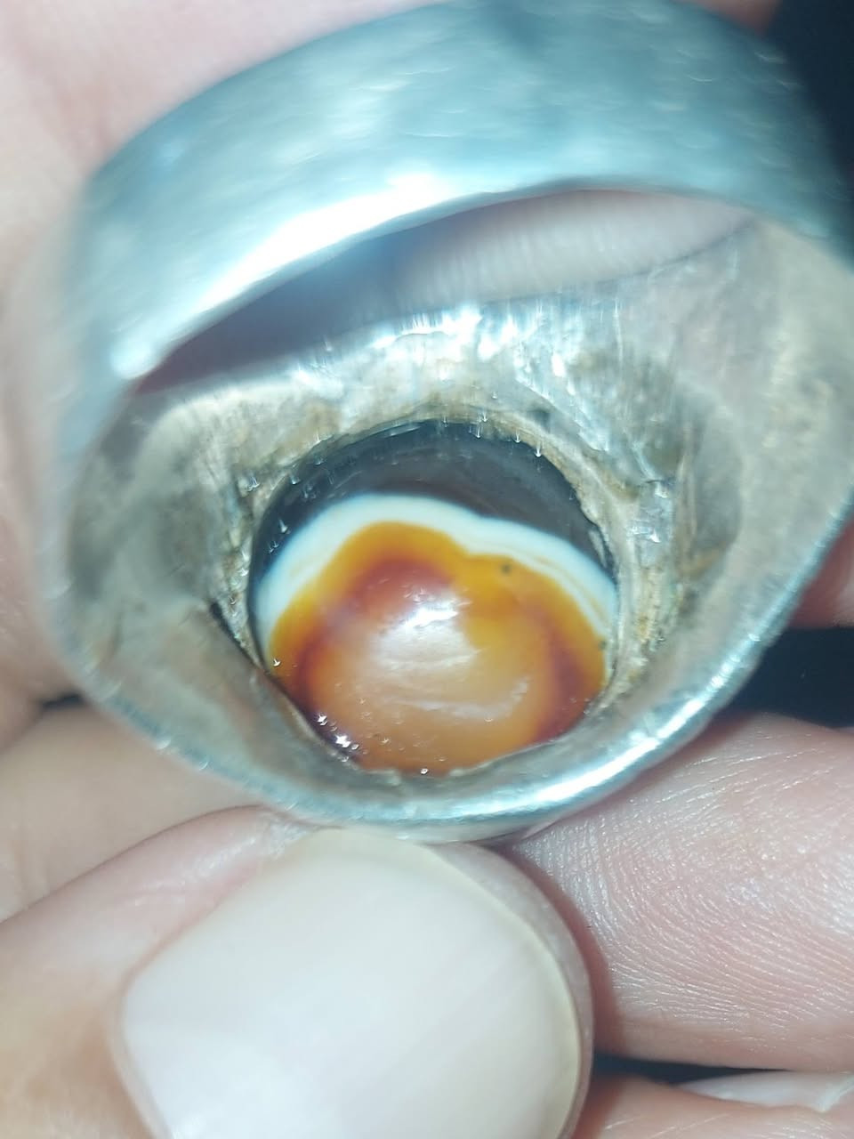 سليماني احمر هندي السعر خاص


**إذا كنت صاحب هذا الإعلان وتريد حذفه لأي سبب، رجاءا أرسل رسالة إلى الدعم الفني**